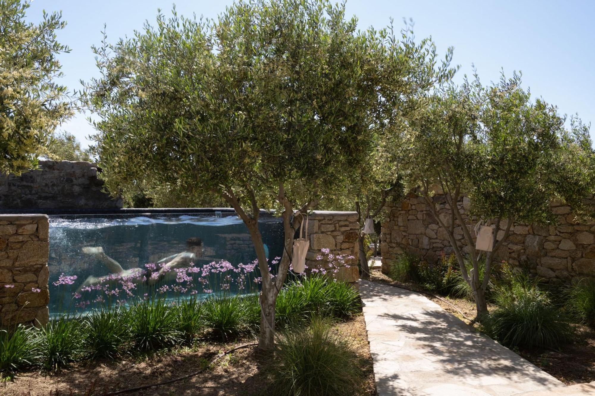 Bed and Breakfast Ikies Of Mykonos Mykonos Town Екстер'єр фото